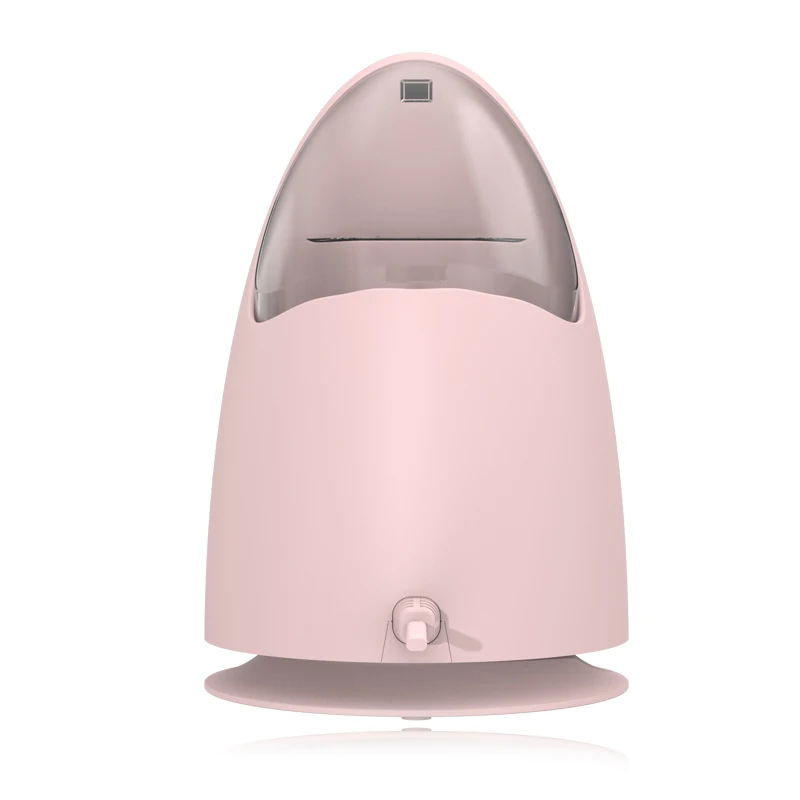Professional Private Label Sprayer Nano Facial Steamer Portable Nano Mist Facial Steamer for Home Use