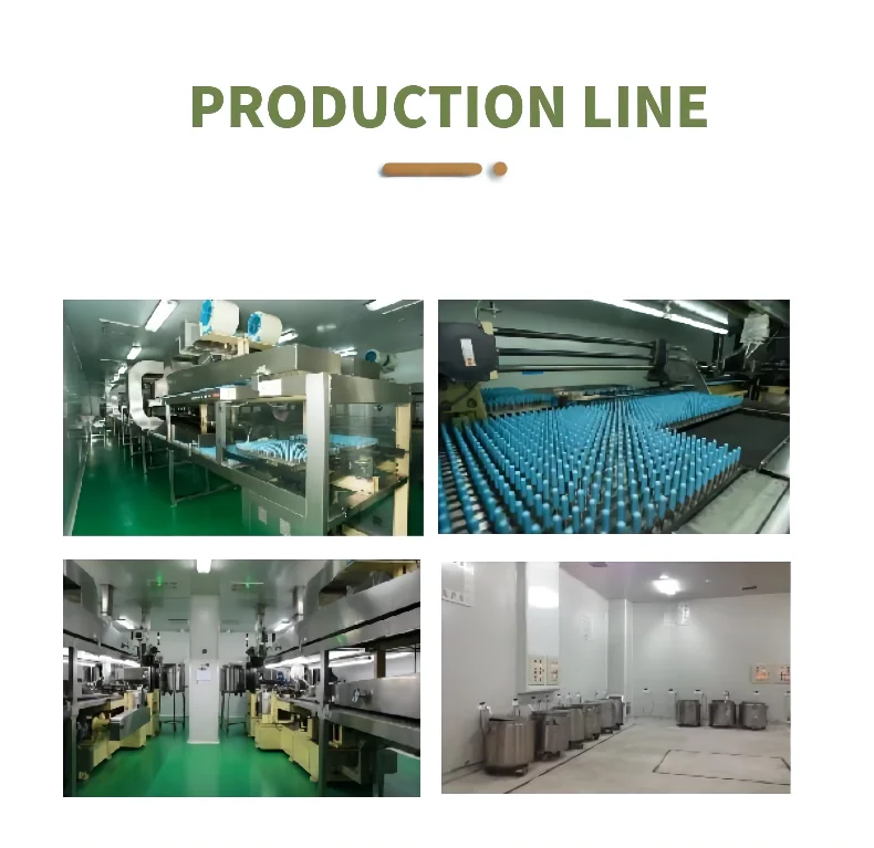 Production Line