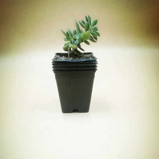 cheap plastic square decorative flower pots pots  plastic trays