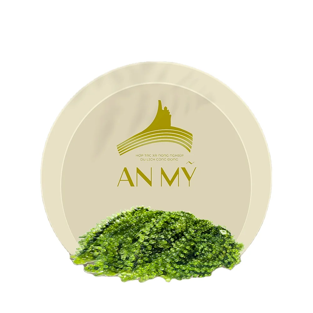 An My Dewatered Seaweed Top Grade Product Natural Green Sea Grapes From Viet Nam