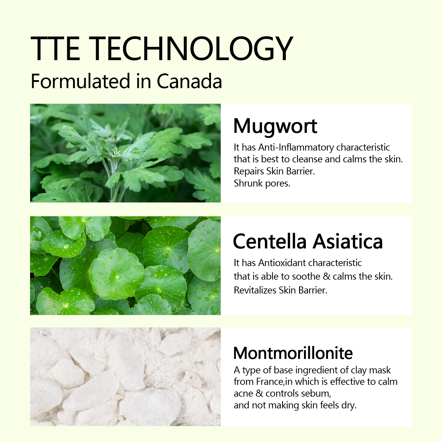 New Mugwort Mask Anti Pores & Acne Green Clay Mask Moisturizing Oil-Control Organic Vegan Mud Facial Mask