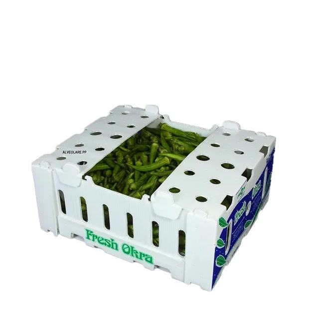 Corrugated plastic storage box for vegetable and fruit