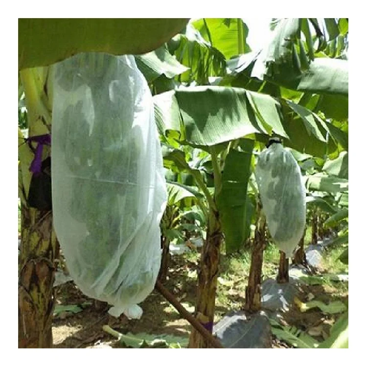 anti-UV pp spunbond nonwoven fruit protection bags for banana cover