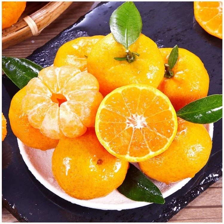 High Quality Orange Mandarin Supplier Bulk Fresh Mandarin Orange Mandarin Price fruit for wholesale
