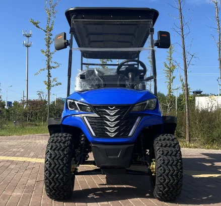 High Quality china 2 4 6 8 Seater street legal   Electric golf cart club car buggy  lithium for sale