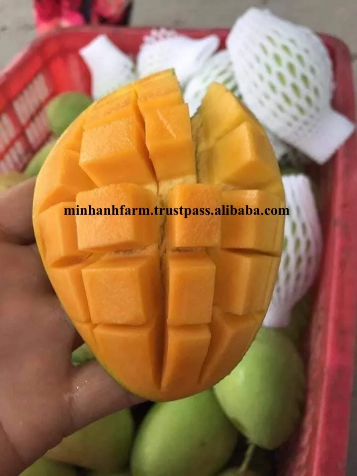Лидер продаж 100% органическое манго во Вьетнаме низкая оптовая цена новый урожай в 2021 году