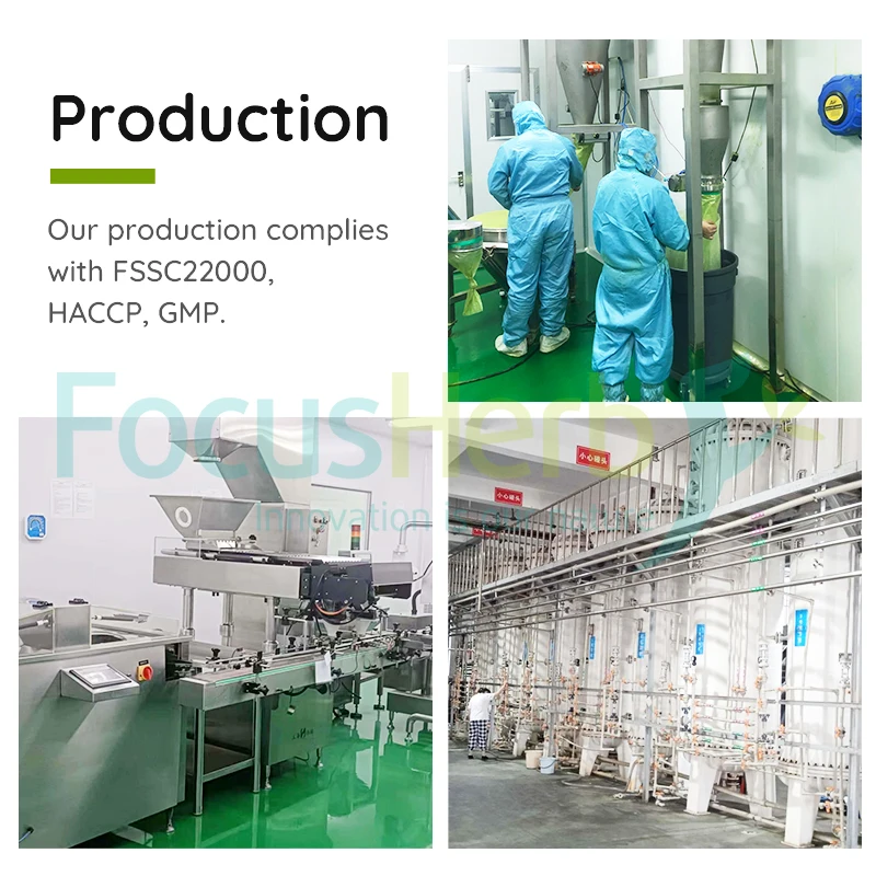 FocusHerb Cas130-40-5 рибофлавин-5-фосфат натрия рибофлавин фосфат 75% Витамин B2