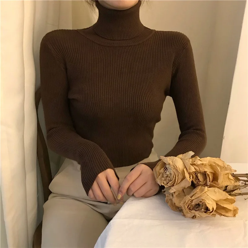 Casual 12 color options Tight Undershirt Long Sleeve Keep Warm Plain Fall Turtleneck Sweater For Women