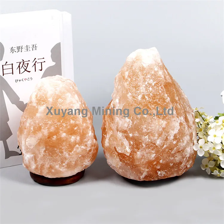 Himalaya Salt Lamp Manufacturer Furniture Decoration Salt Lamp Low Price
