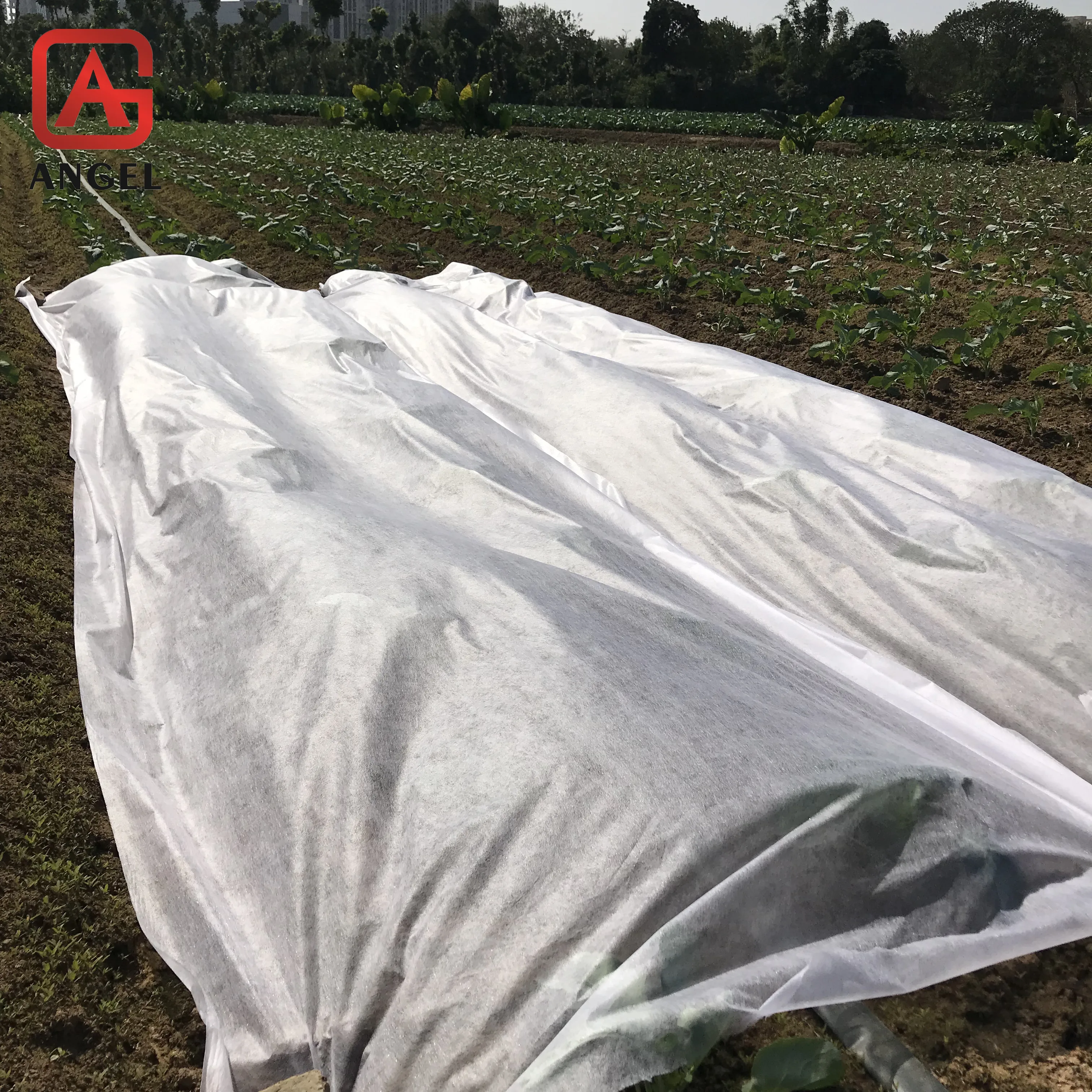 Non-woven Fabric Cloth Winter Cover Care Antifreeze Frost Flower And Grass Protection Cover