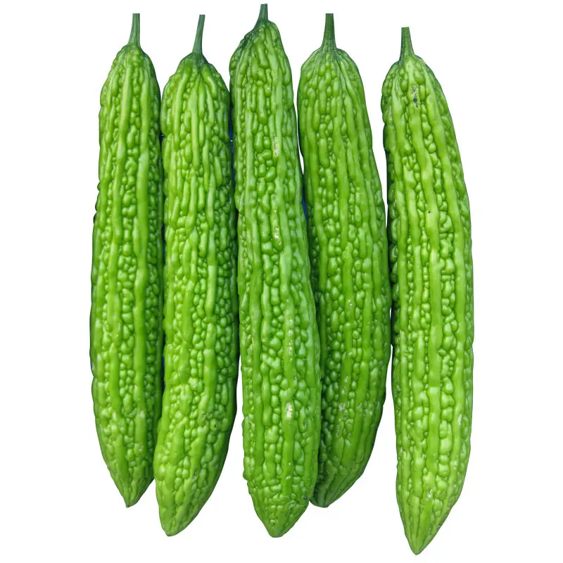 
chinese vegetable seeds wholesale green hybrid balsam pear seeds 