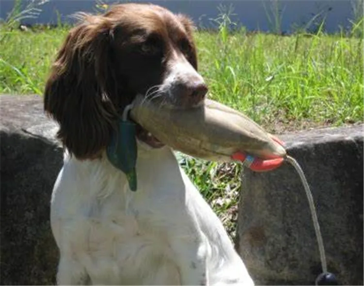 Original Factory Tough Biting Toy  Dog Training Balls Portable Dog Toys Manufacturer Hunting Dog Training Dummy