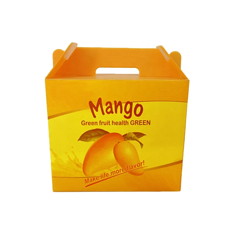 Waterproof Fresh Fruit Carton mango Storage Gift Custom PP Corrugated Plastic Packaging Boxes