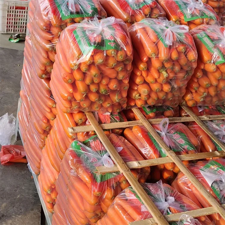 Китайская свежая морковка 4 кг, картонная коробка, экспорт в Дубай, оптовая продажа, конкурентоспособная цена, свежие овощи