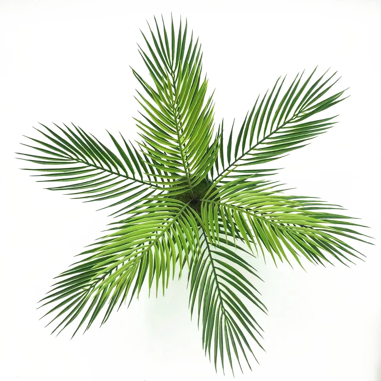 Тропические искусственные пальмы areca, искусственные растения, большие искусственные растения, большие шелковые Пальмовые Листья Monstera, ветки