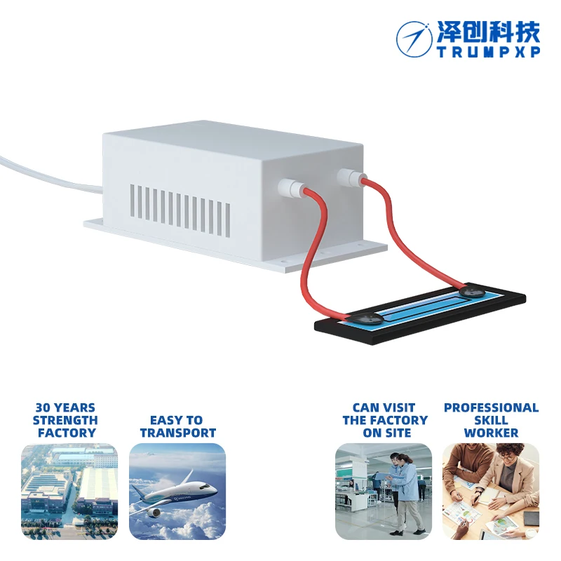 TCB-25 Wholesale Portable Ceramic Ozone Generator mini air purifier ozone generator