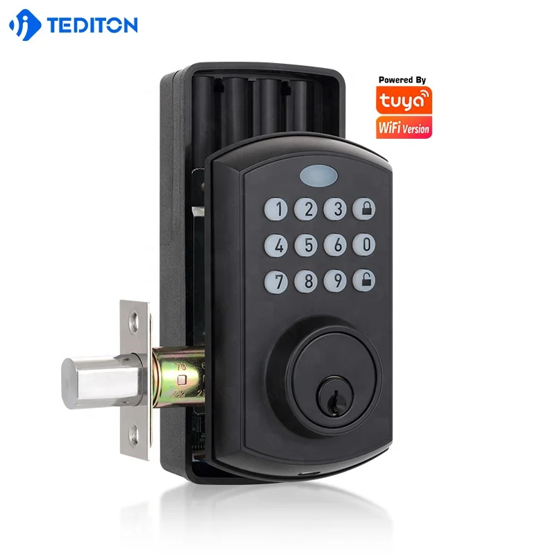 Tediton Hot-selling Automatic Deadbolt Security Access Mechanical Keyless Magnetic Door Lock Electronic Smart Deadbolt Lock