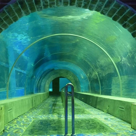 Заводская Продажа индивидуальный акриловый аквариумный туннель для аквариума