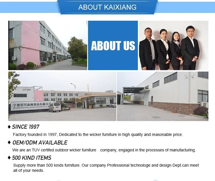 COMAPNY INFORMATION.png