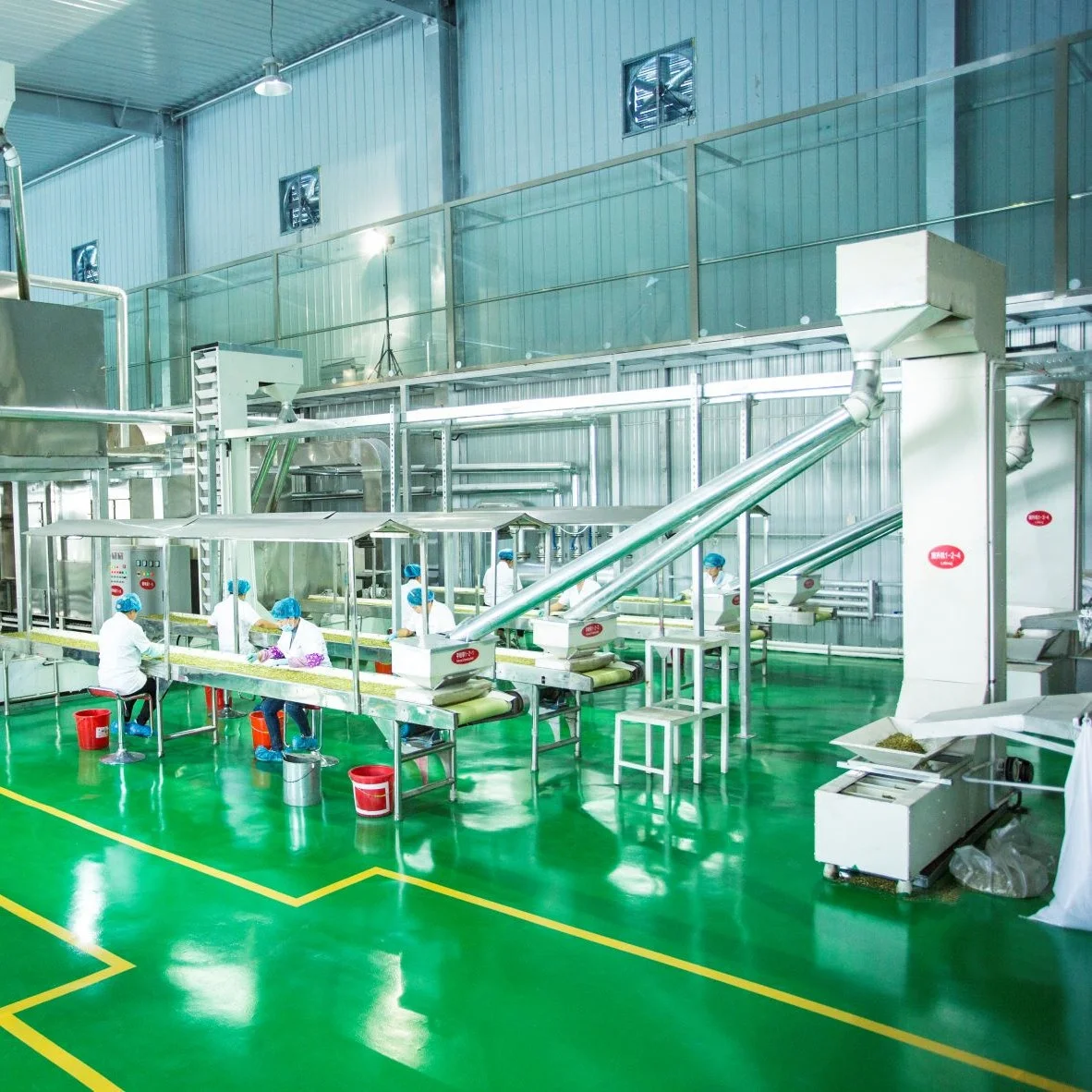 2024Year Supply Sunflower Seed 363 361 601 From China