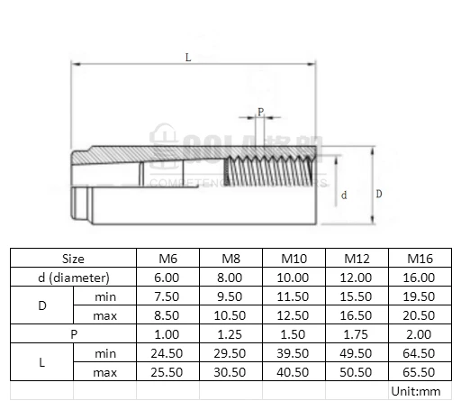 M6 M8 M10 M12 M16 Stainless Steel 304 316 Concrew Drop-in Anchor