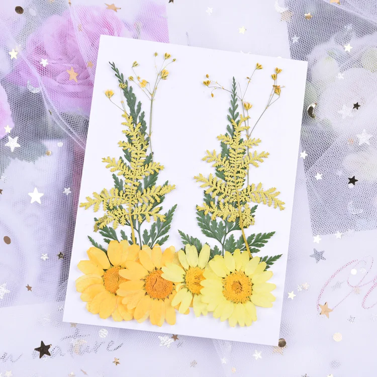 2022 best selling dried flower embossed material embossed really natural plant specimens for bookmark mobile phone case