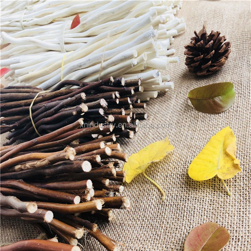 Натуральная сушеная деревянная палочка декоративная оптовая продажа организация цветов натуральные деревянные части Белые коричневые стебли ветки