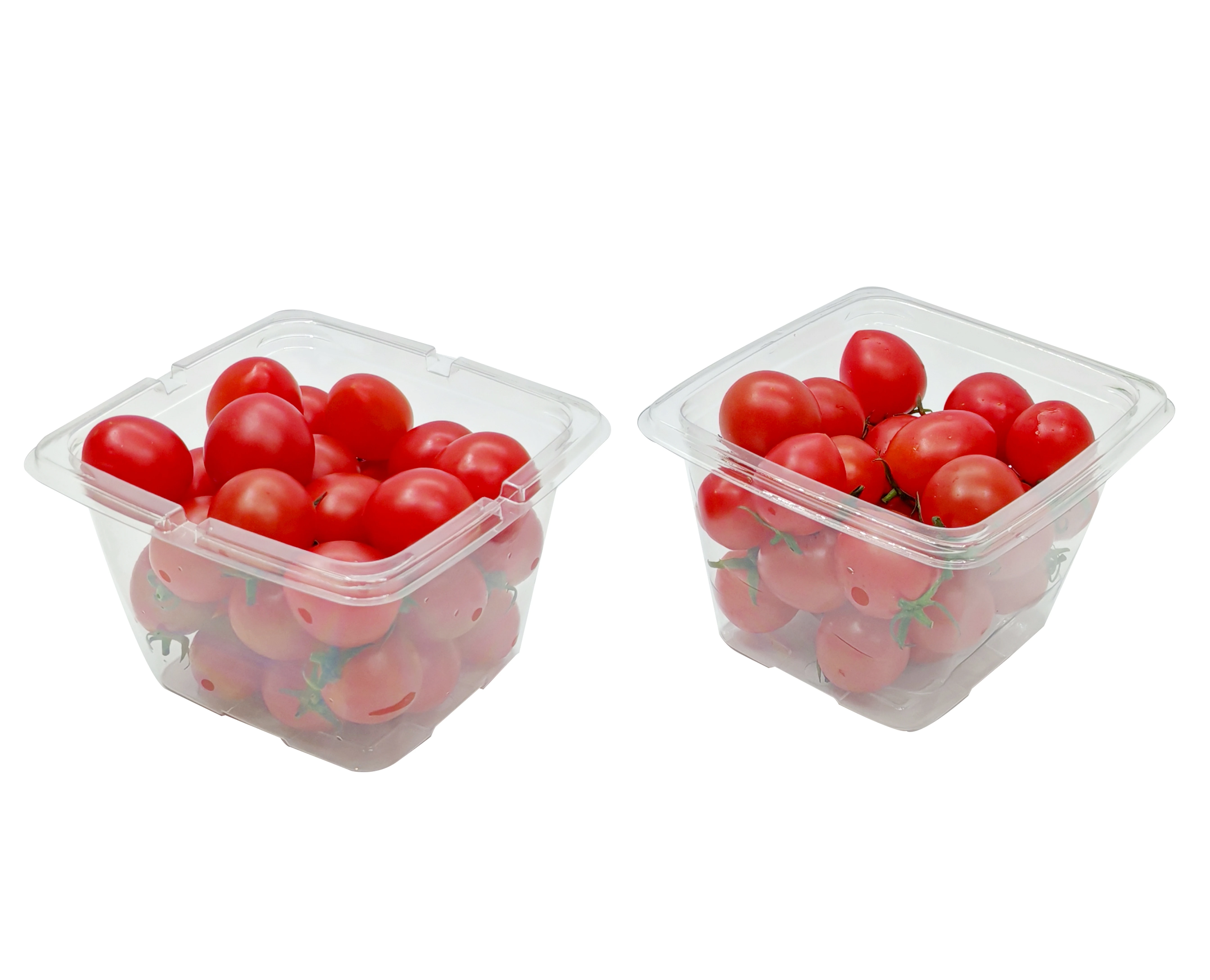 OEM blister fresh clear PET berry clamshell fruit packaging box