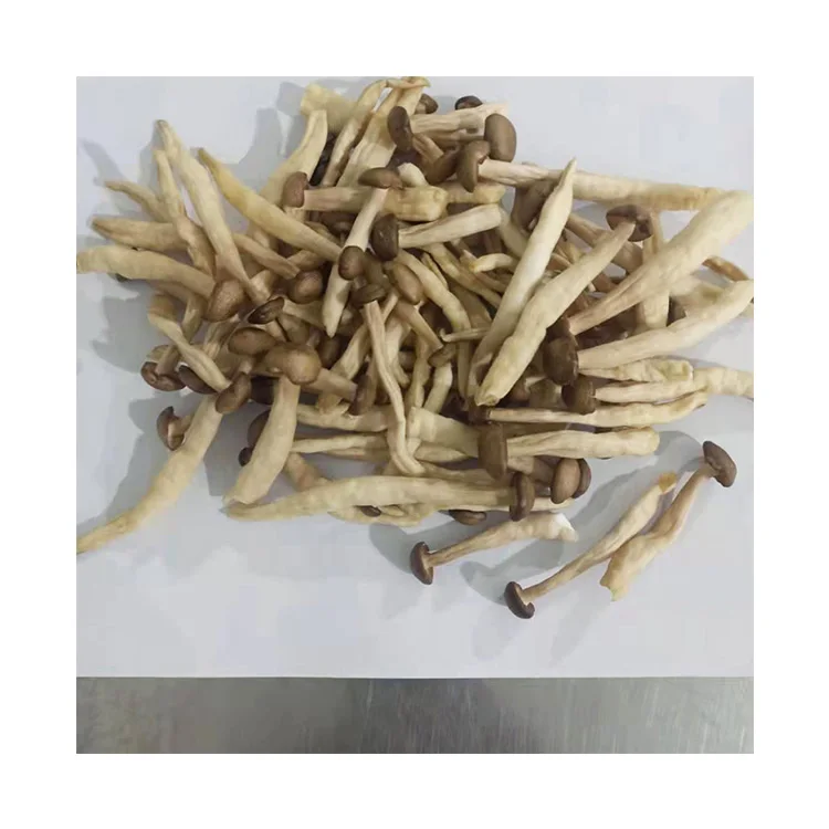 The King Of Quantity Shimeji Mushroom Chips Vacuum Fried Veggies