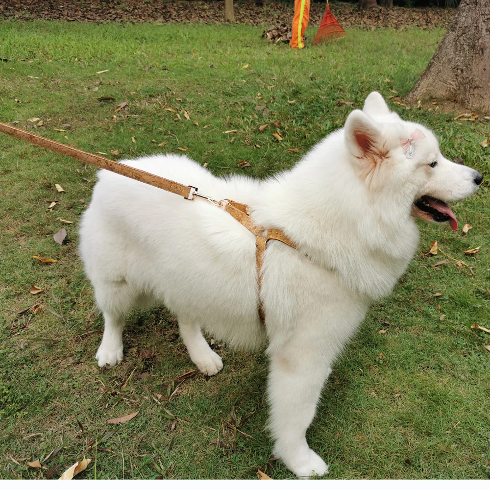 cork dog harness (1).jpg