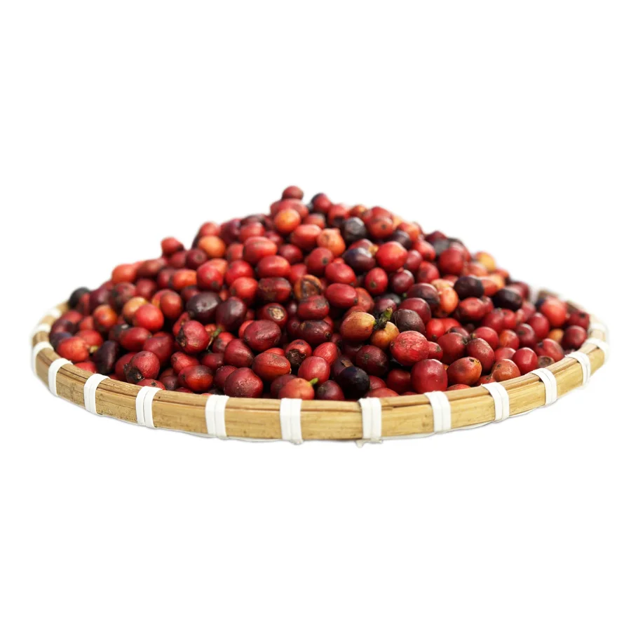 Vietnam Robusta Wholesale Price Good Taste Morning Coffee HACCP Certificate Plastic Bag Packaging From Vietnam Factory