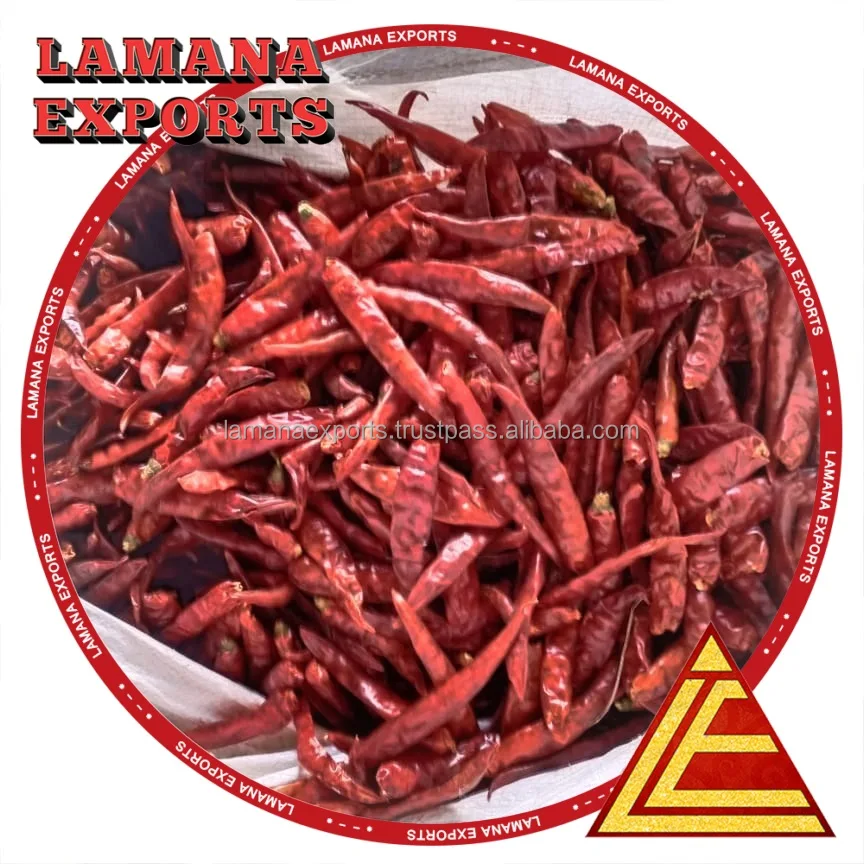 Guntur Super Dry Red Chilli S4 Sannam S334 Stemless India Chilli Premium Quality for China, Thailand