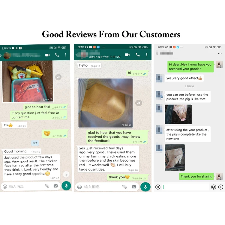 Голубь премикс мульти витаминный порошок желудочно-кишечный болезни для птицы холода и гриппа корма