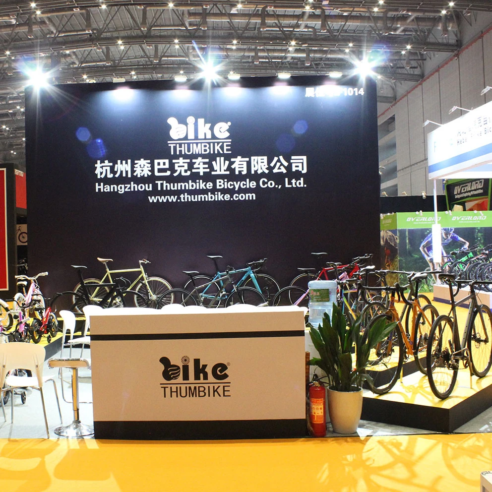 250W 36V  China Factory 9 speed electric city bike adult mid belt drive ebike