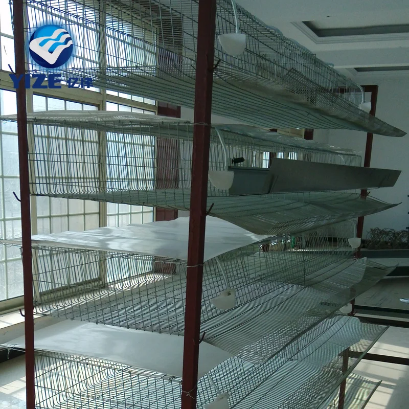 Fully automatic quail farm quail cages and equipment 6layer for sale