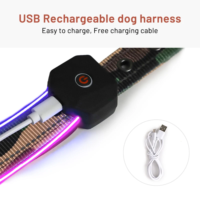 2024 Light Up Led Dog Collar Usb Rechargeable Custom Design Waterproof Night Safety Flashing Glow In The Dark Light Dog Collar