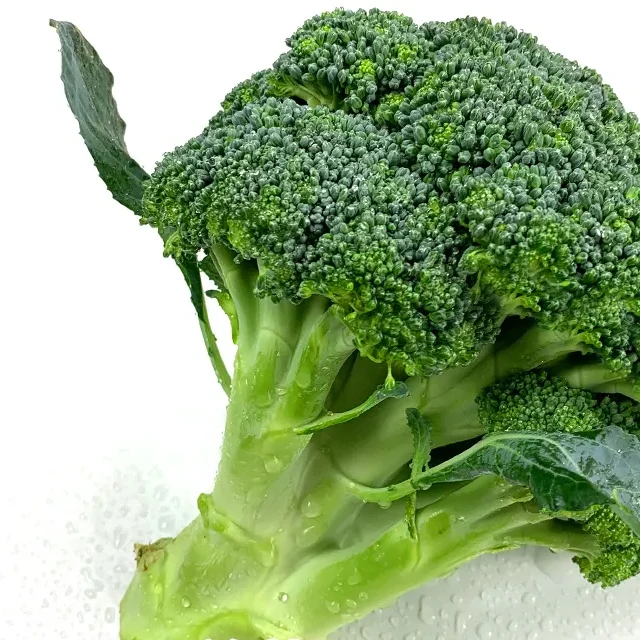 High Quality Fresh Cheap Prices Organic Green Broccoli For Sale