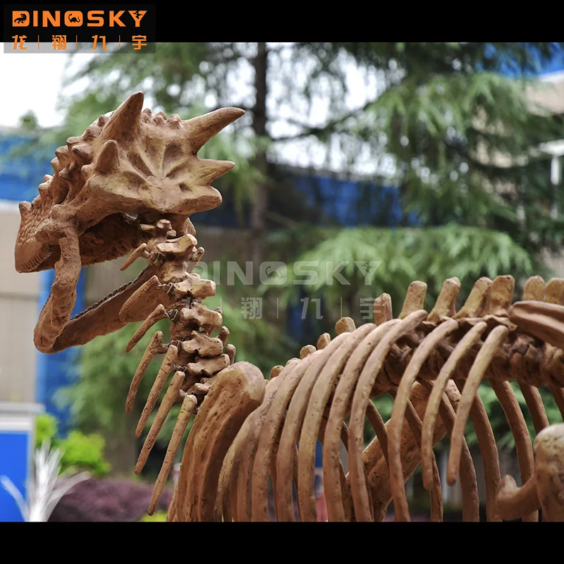 Artificial  Dinosaur bones dinosaur  skeleton fossil museum exhibition display