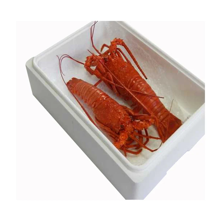 High quality quick freezing Ise-Shima frozen cooked lobster Japan