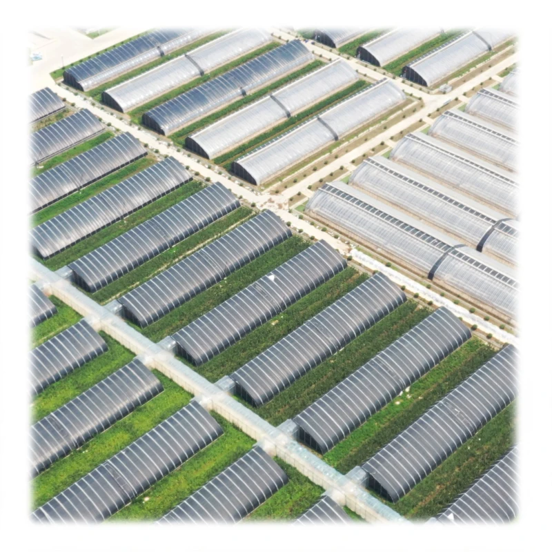 Greenhouse Plastic Film Transparent/Yellow Anti-UV Anti-Drop Greenhouse Film Plastic Sheet Film for Greenhouse