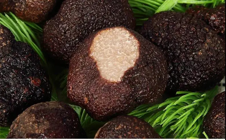 Лучшие продажи, черные трюфели из Китая, Юньнань, трюфель лучшего качества