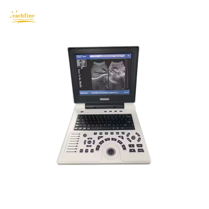 Pet Clinic Portable Veterinary ultrasound machine cheap vet laptop color doppler ultrasound used for Animal pregnancy scanning