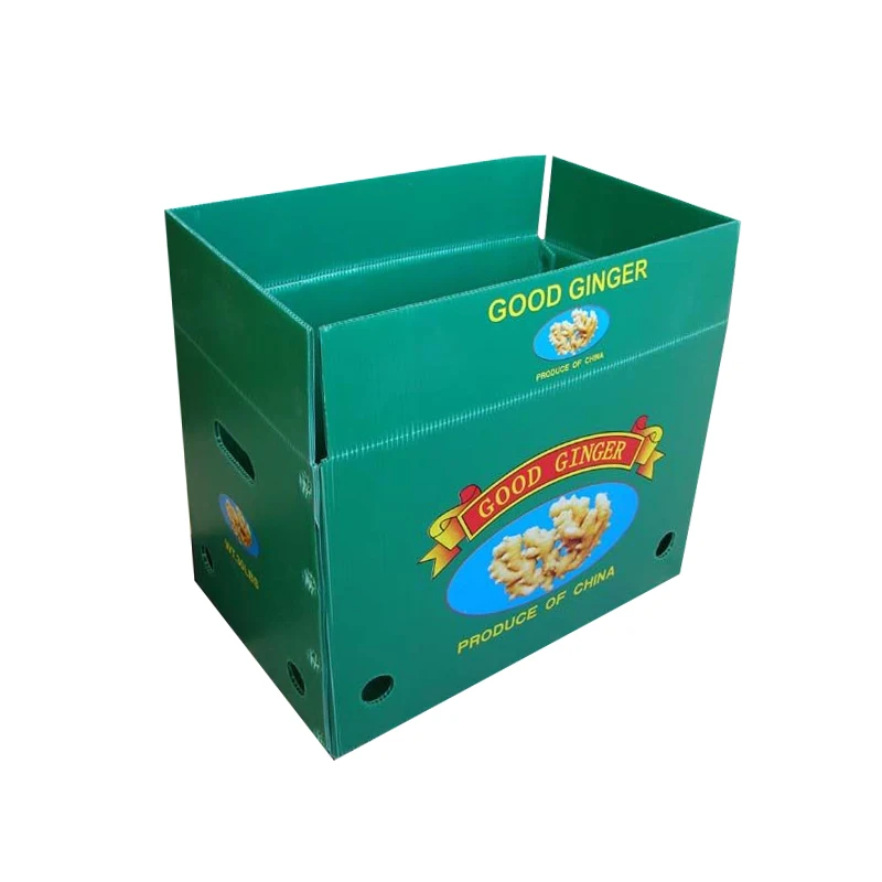 Manufactory 2023 Custom Hot Selling Wholesale Polypropylene To Go Pp Hollow Corrugated Fresh Packaging Ice Seafood Box