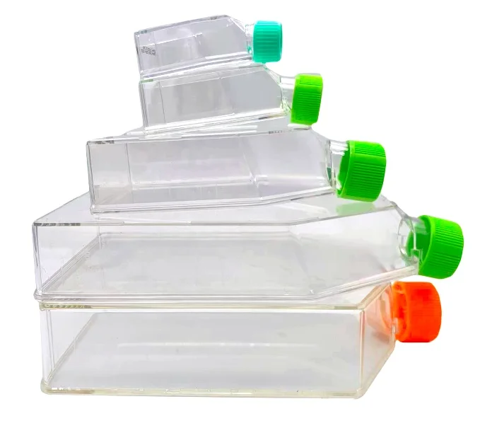 Laboratory 25ml 50ml Glass Cell Culture Bottle with Screw Cork  Sterile Tissue Clear Cell Culture Flask