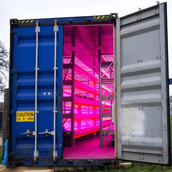 Smart farming hydroponic grow lamp 40FT container greenhouse/plant factory