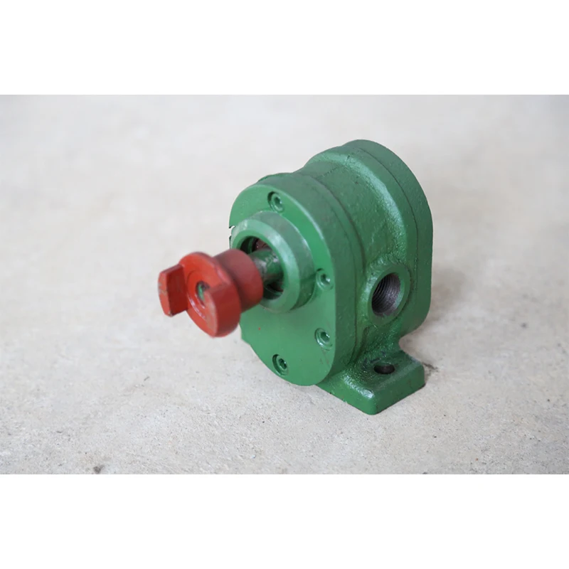 WCB30 New portable 220V oil pump for grain and oil, food, machinery manufacturing