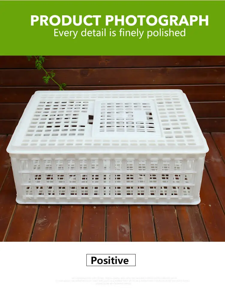 chicken transport (5)