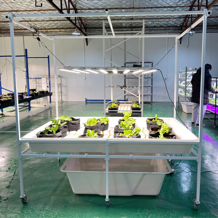 Aeroponics Hidroponia Greenhouse Seedbed Water Reservoir 130GAL Reservoir Hydroponic Water Tank