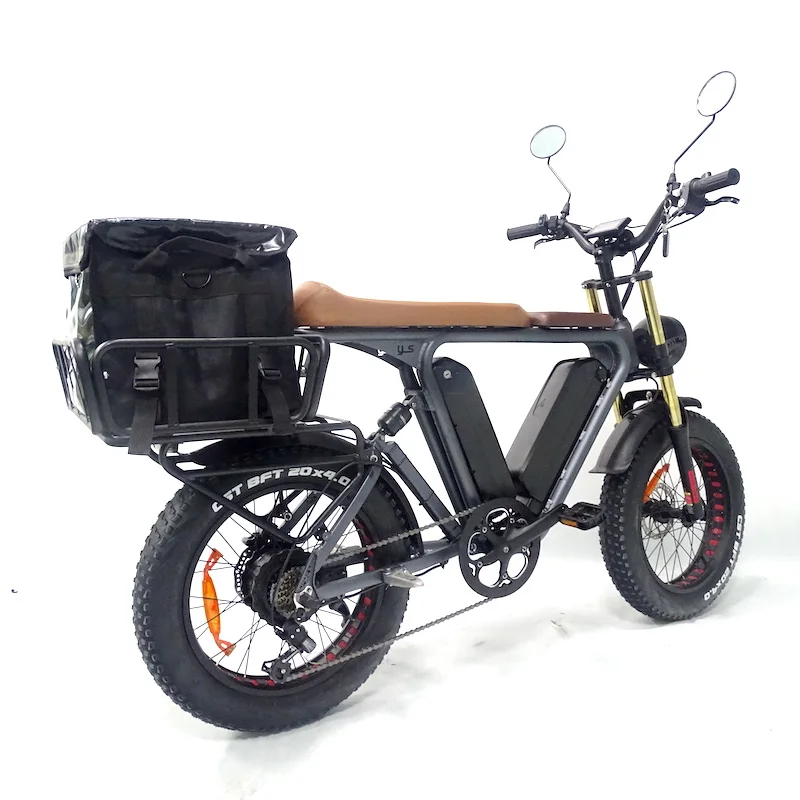 20 inch fat tire bike electric food delivery 1000v 48v 22ah dual lithium batteries cargo ebike  electric cargo bike