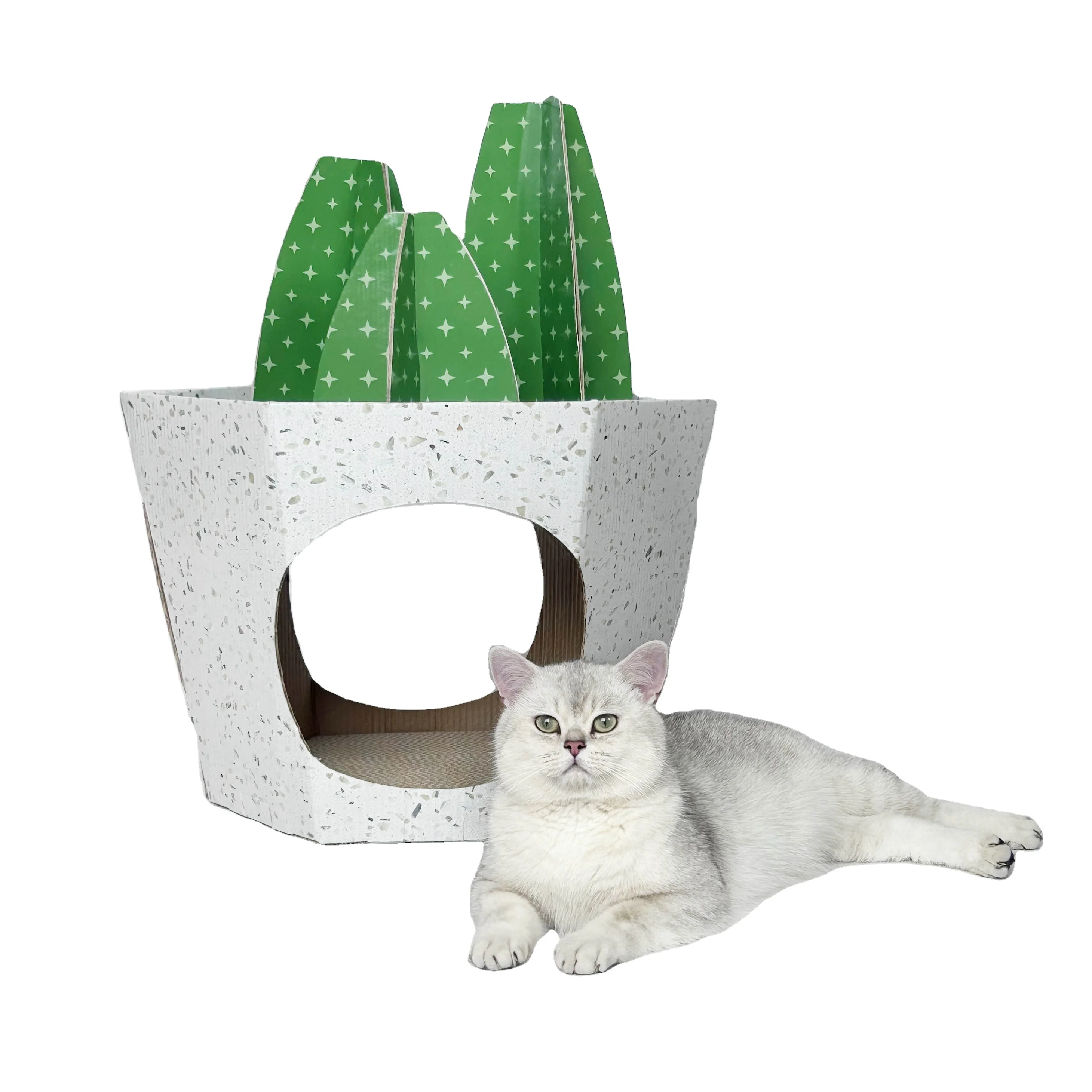 cute mushroom cat scratcher cat scratcher funny